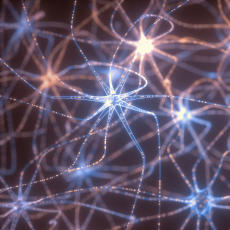 Neurorehabilitación